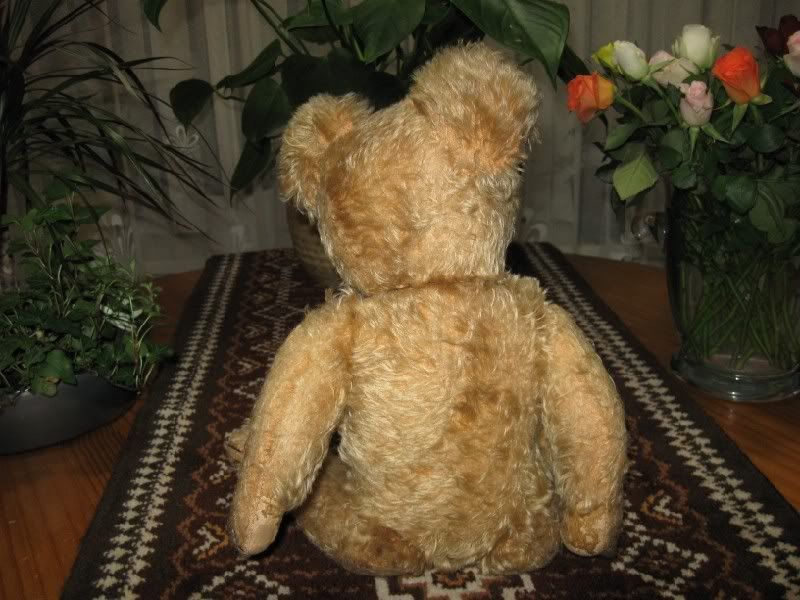 Antique Hermann Bear