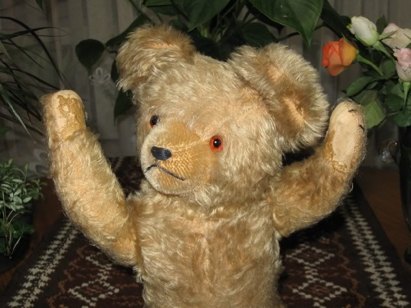 Antique Hermann Bear