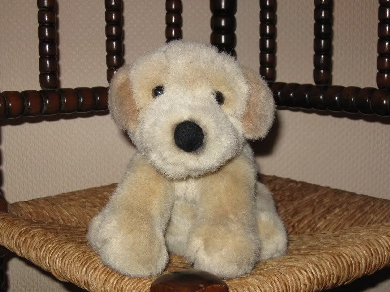 Anna Club Plush Holland Sitting Golden Retriever Pup