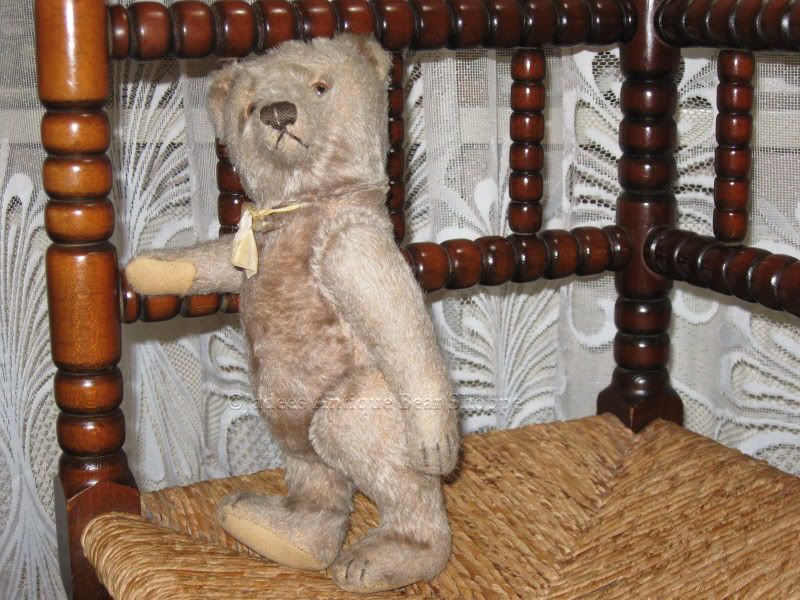 Steiff 1950s Original Teddy Mohair Bear 28cm 5328,2c Armando