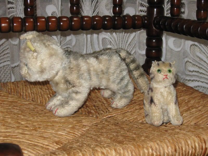 7 1950/'s Mohair Kitten Steiff Tabby Cat