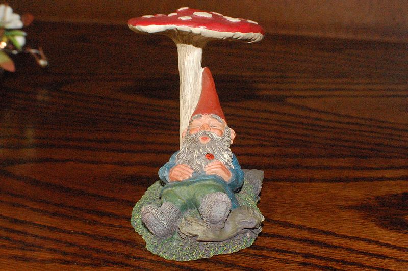 photo DSC_0031.jpg?width=800&height=600&fit=bounds