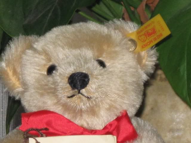 Steiff Original Teddy Bear Replica 1909 406201