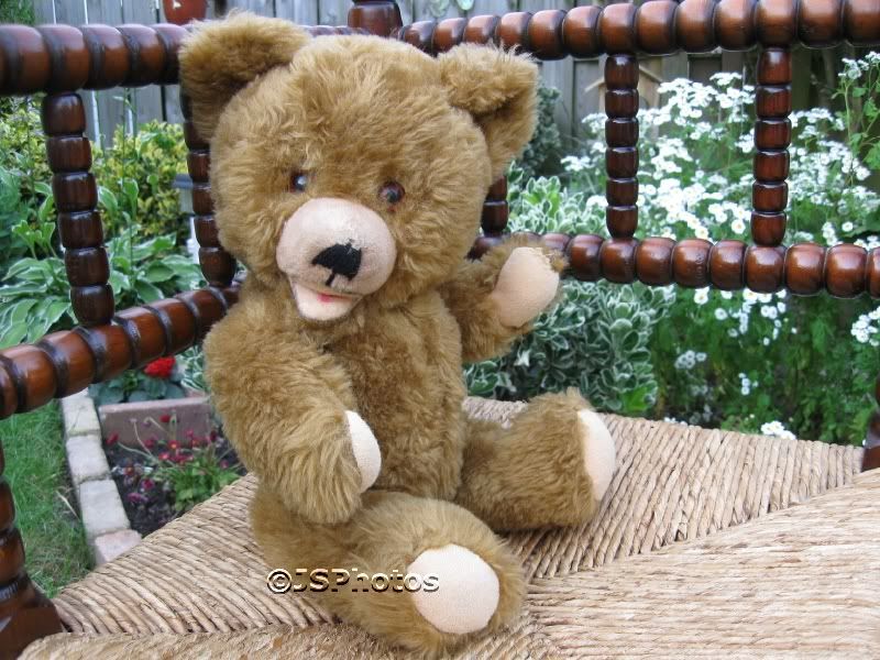 teddy bear with growler