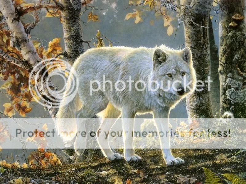  photo wolves-of-the-wild-volume-1_zpsc64e03a8.jpg