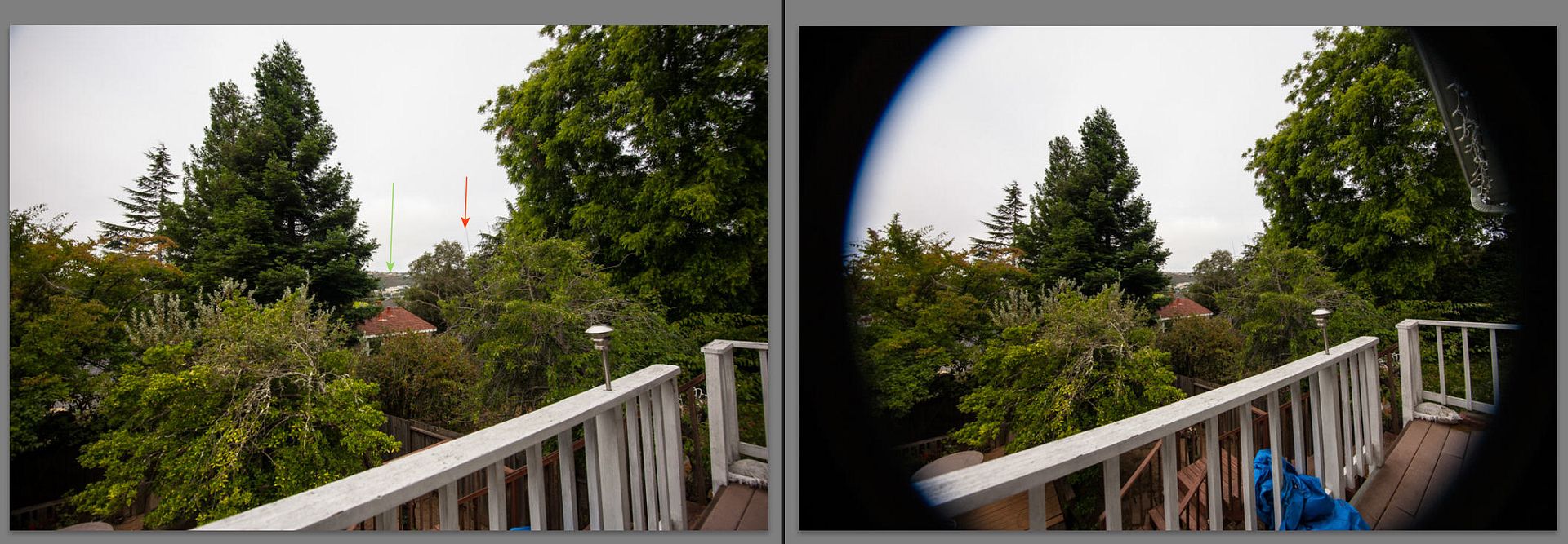 IMAGE: https://i69.photobucket.com/albums/i63/wiltonw/POTN%202013%20Post%20Mar1/15%20v%2011_zpsxku4ujwm.jpg