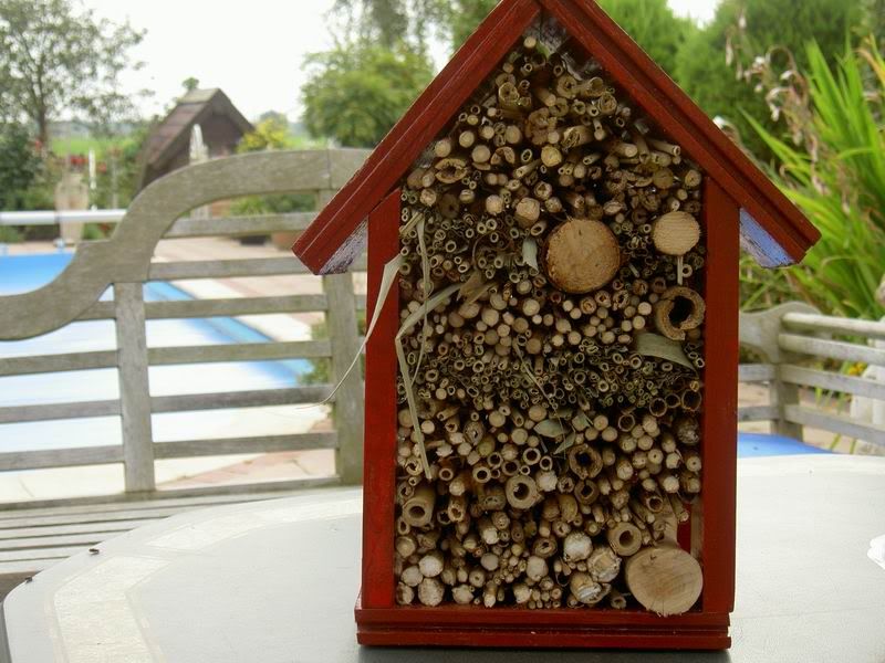 ResizeofPICT0989.jpg
