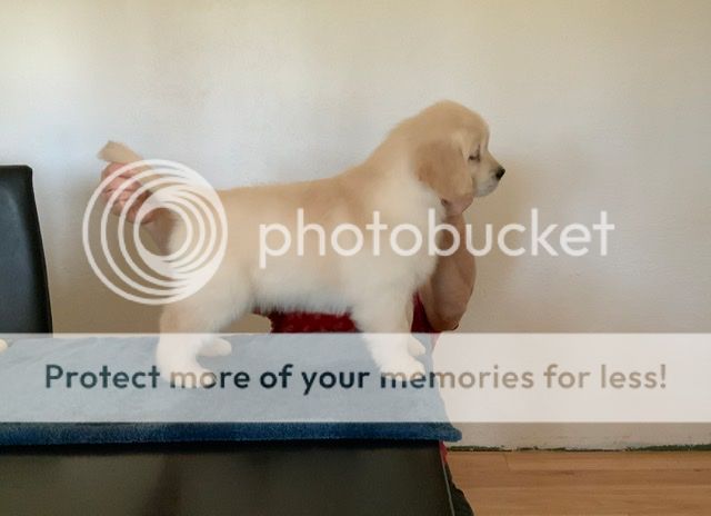 Photobucket - Video and Image Hosting