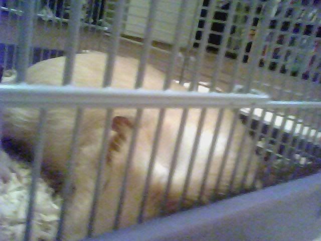 sleepy20ted.jpg