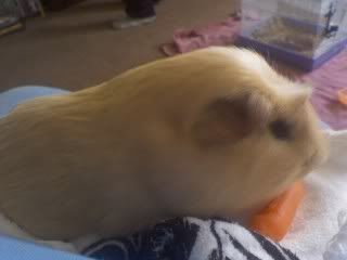 tedeatingonmylap.jpg